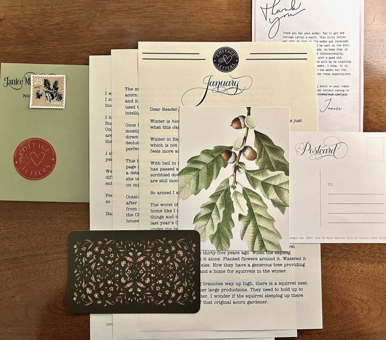 Embracing the Analog: A Journey Through Letters and Art with Janice MacLeod